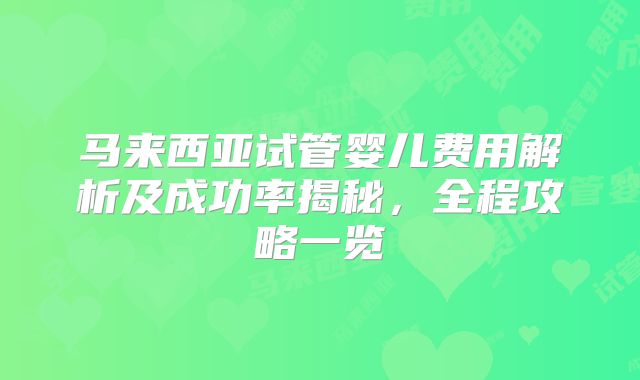 马来西亚试管婴儿费用解析及成功率揭秘,全程攻略一览