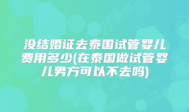 没结婚证去泰国试管婴儿费用多少(在泰国做试管婴儿男方可以不去吗)