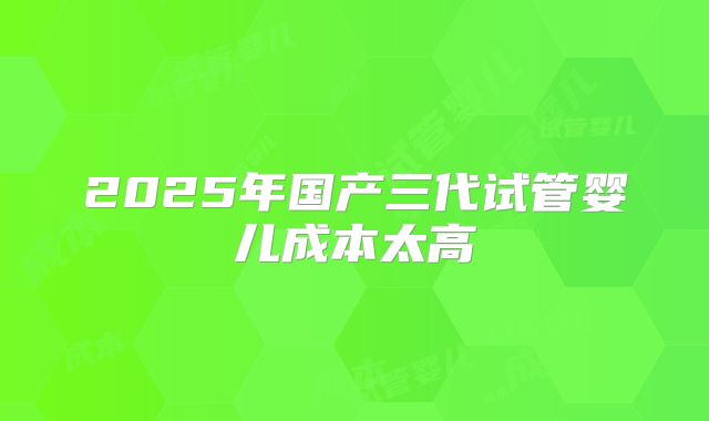 2025年国产三代试管婴儿成本太高