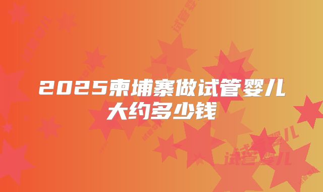 2025柬埔寨做试管婴儿大约多少钱