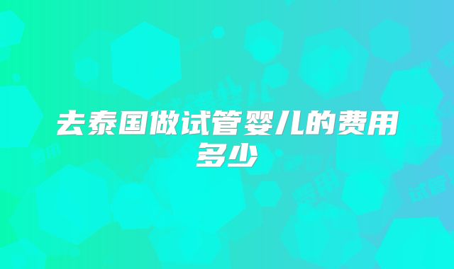 去泰国做试管婴儿的费用多少