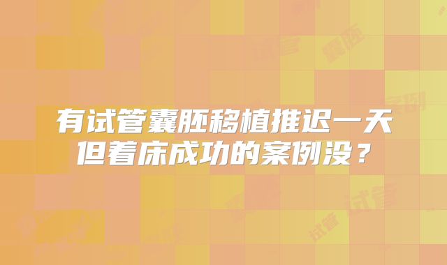 有试管囊胚移植推迟一天但着床成功的案例没?