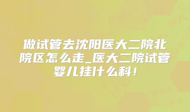 做试管去沈阳医大二院北院区怎么走_医大二院试管婴儿挂什么科!