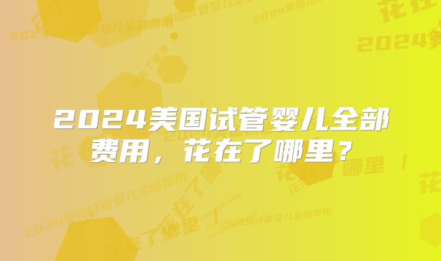2024美国试管婴儿全部费用,花在了哪里?