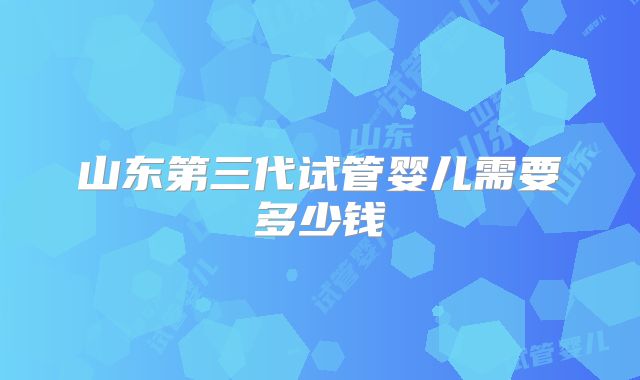 山东第三代试管婴儿需要多少钱