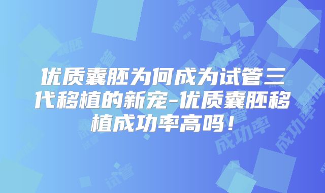 优质囊胚为何成为试管三代移植的新宠-优质囊胚移植成功率高吗！