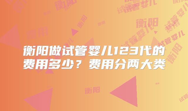 衡阳做试管婴儿123代的费用多少？费用分两大类
