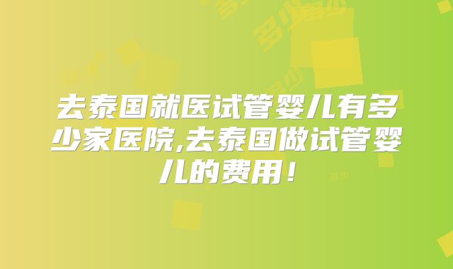 去泰国就医试管婴儿有多少家医院,去泰国做试管婴儿的费用！