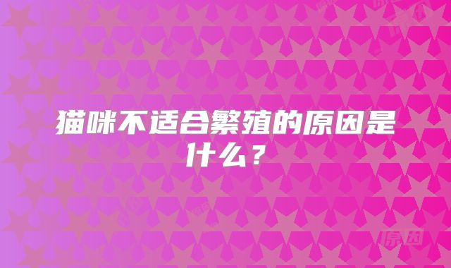 猫咪不适合繁殖的原因是什么?