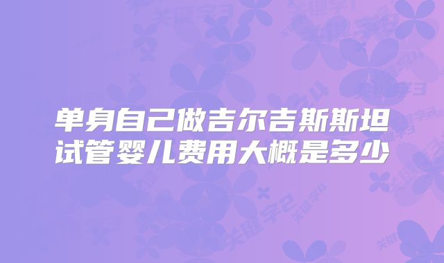 单身自己做吉尔吉斯斯坦试管婴儿费用大概是多少