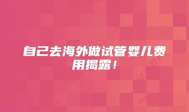 自己去海外做试管婴儿费用揭露！
