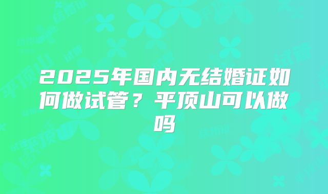 2025年国内无结婚证如何做试管？平顶山可以做吗
