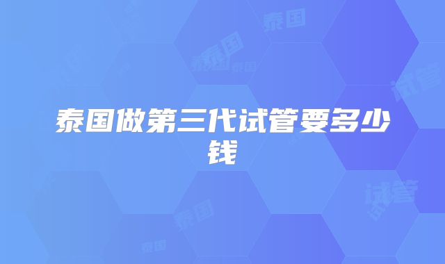 泰国做第三代试管要多少钱