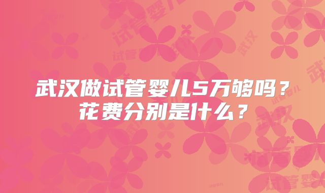 武汉做试管婴儿5万够吗?花费分别是什么?