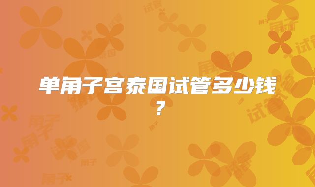 单角子宫泰国试管多少钱？