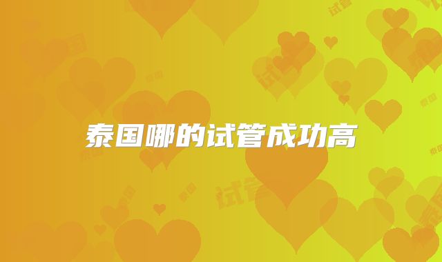 泰国哪的试管成功高