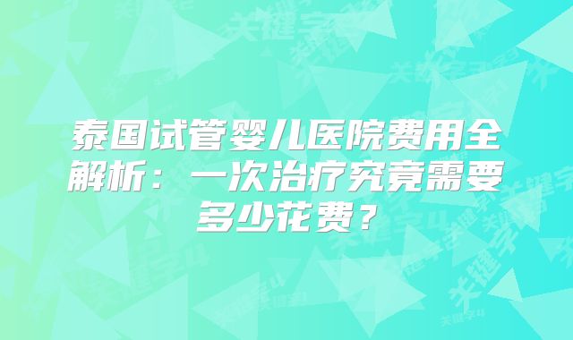 泰国试管婴儿医院费用全解析：一次治疗究竟需要多少花费？