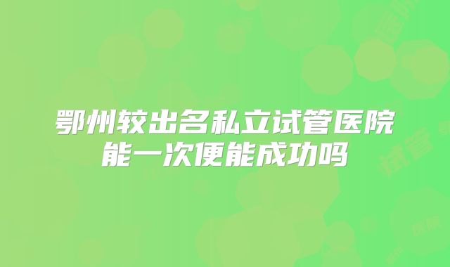 鄂州较出名私立试管医院能一次便能成功吗