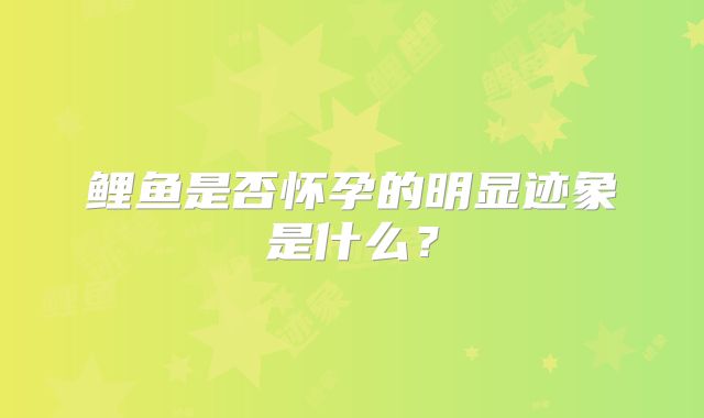 鲤鱼是否怀孕的明显迹象是什么?