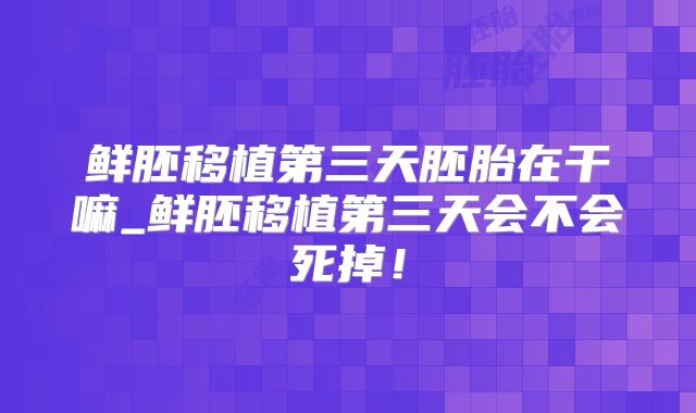 鲜胚移植第三天胚胎在干嘛_鲜胚移植第三天会不会死掉！