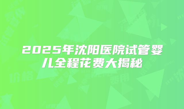 2025年沈阳医院试管婴儿全程花费大揭秘