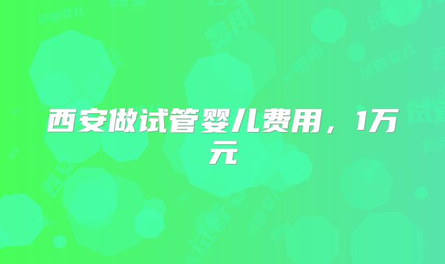 西安做试管婴儿费用，1万元