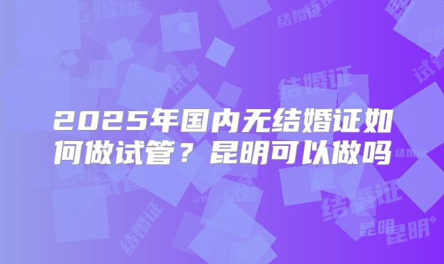 2025年国内无结婚证如何做试管?昆明可以做吗