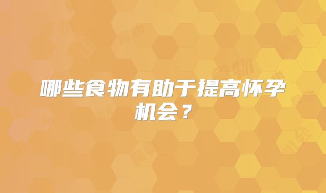 哪些食物有助于提高怀孕机会?