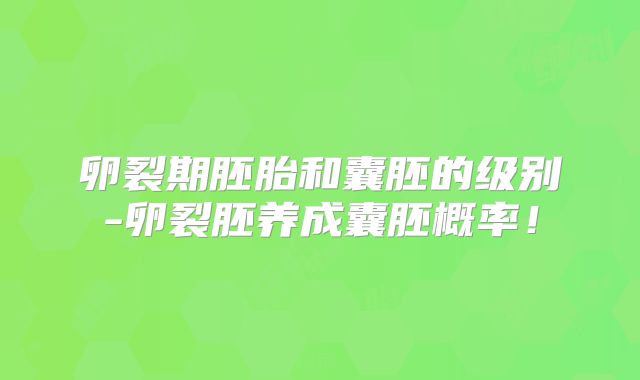 卵裂期胚胎和囊胚的级别-卵裂胚养成囊胚概率！