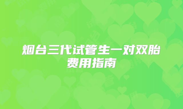 烟台三代试管生一对双胎费用指南