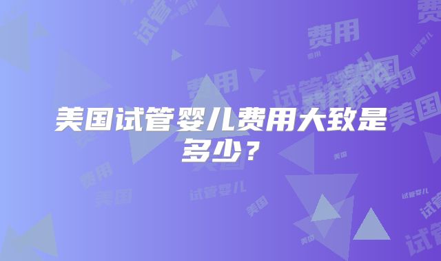 美国试管婴儿费用大致是多少?
