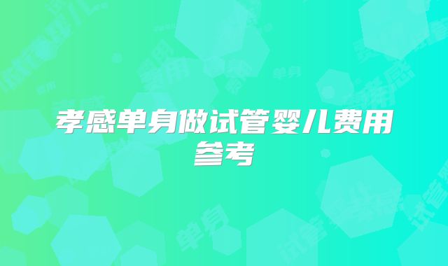 孝感单身做试管婴儿费用参考
