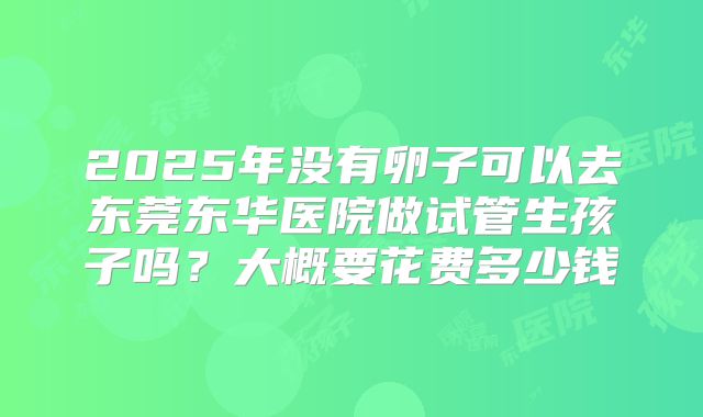 2025年没有卵子可以去东莞东华医院做试管生孩子吗?大概要花费多少钱