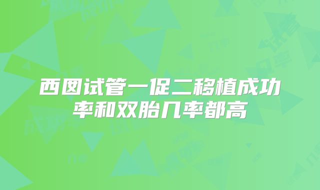西囡试管一促二移植成功率和双胎几率都高