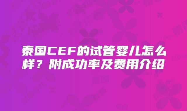 泰国CEF的试管婴儿怎么样？附成功率及费用介绍