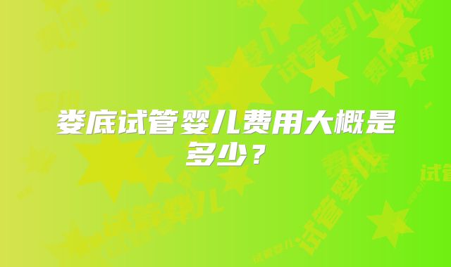 娄底试管婴儿费用大概是多少?