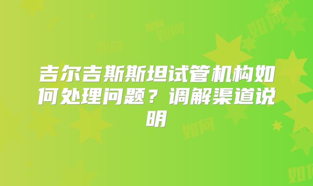 吉尔吉斯斯坦试管机构如何处理问题？调解渠道说明