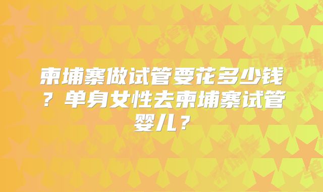 柬埔寨做试管要花多少钱？单身女性去柬埔寨试管婴儿？