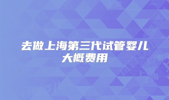 去做上海第三代试管婴儿大概费用