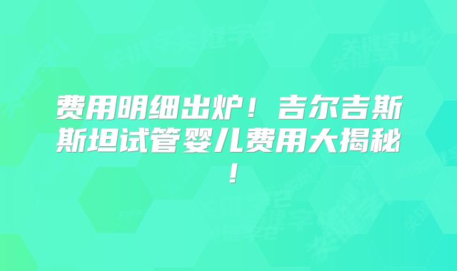 费用明细出炉！吉尔吉斯斯坦试管婴儿费用大揭秘！