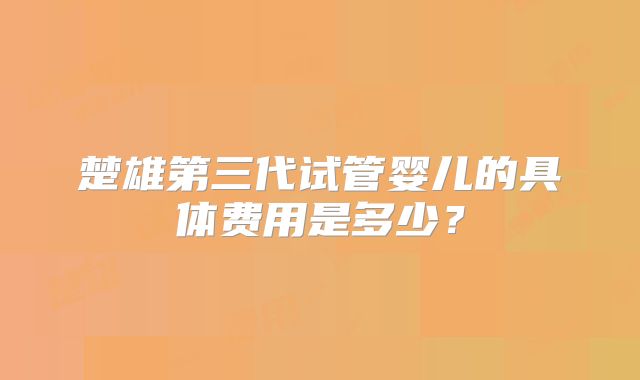 楚雄第三代试管婴儿的具体费用是多少？