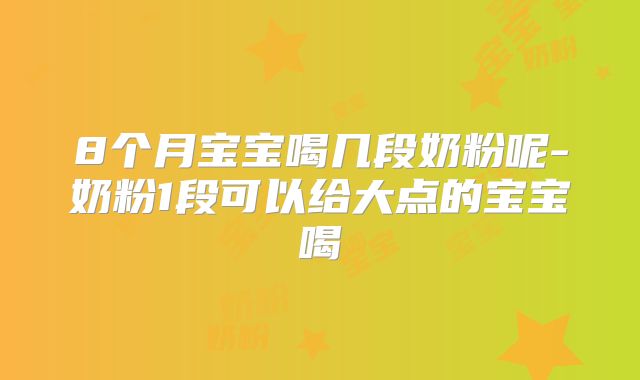 8个月宝宝喝几段奶粉呢-奶粉1段可以给大点的宝宝喝