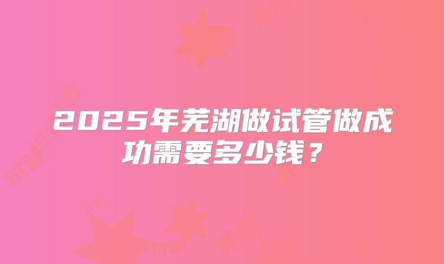 2025年芜湖做试管做成功需要多少钱？