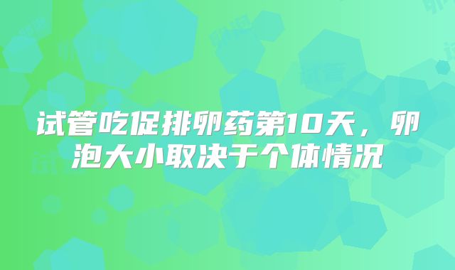 试管吃促排卵药第10天，卵泡大小取决于个体情况