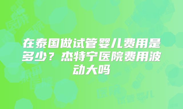 在泰国做试管婴儿费用是多少？杰特宁医院费用波动大吗