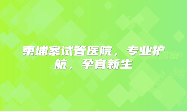 柬埔寨试管医院，专业护航，孕育新生