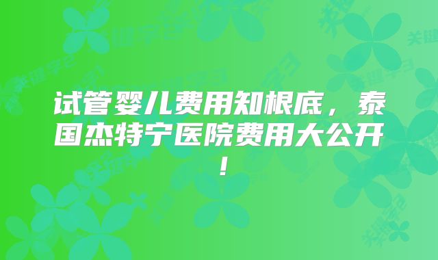 试管婴儿费用知根底，泰国杰特宁医院费用大公开！