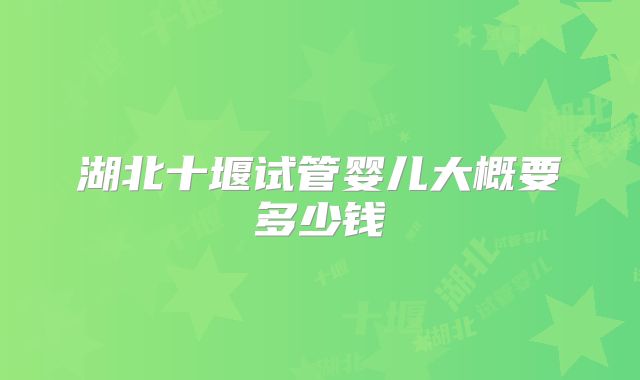 湖北十堰试管婴儿大概要多少钱