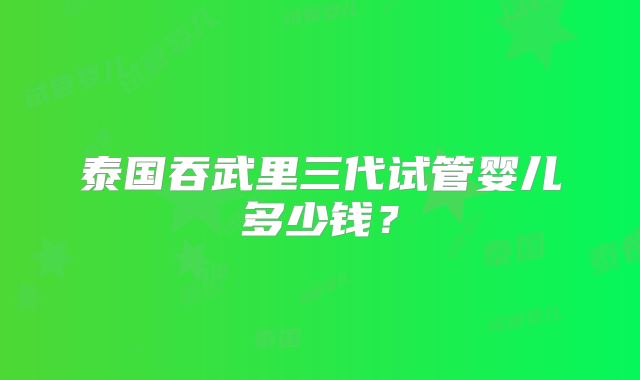 泰国吞武里三代试管婴儿多少钱?