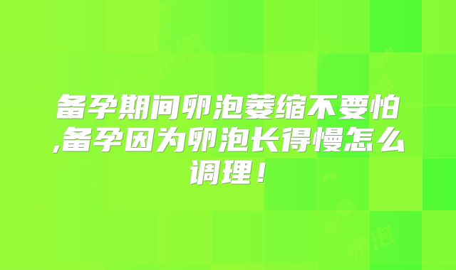 备孕期间卵泡萎缩不要怕,备孕因为卵泡长得慢怎么调理！